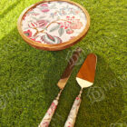 IMG20240209160139