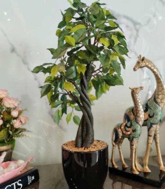 Giraffe Artefact