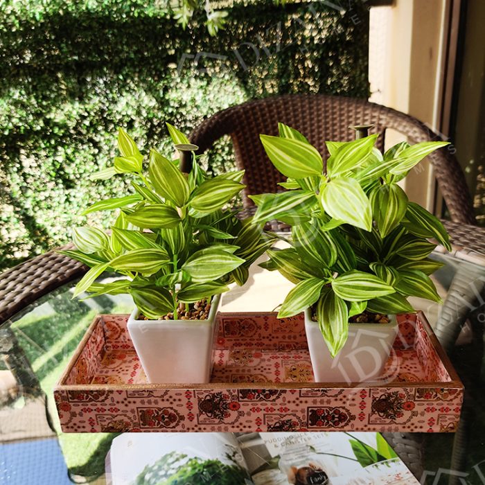 Artificial-Hypoestes-plant