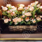 Copy-of-IMG_20210920_180845