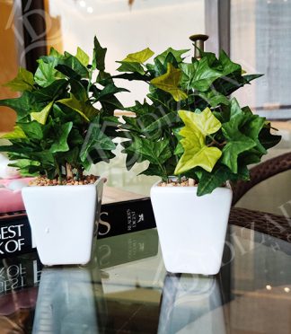 Artificial Green Maple Table Top Plants - Set of 2
