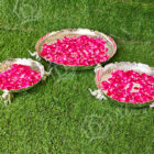 IMG20230929124923