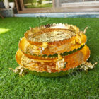 IMG20231011123824