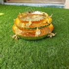 IMG20231011123849