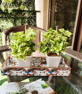 Artificial Shaded maple Table Top Plants - Set of 2
