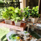 IMG_20210210_131009