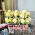 IMG_20210827_073240_Bokeh