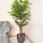 IMG_20250917_231641