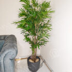 IMG_20250917_232413