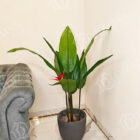 Size47.2-inches_120-cm