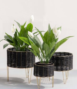 Madison Black Cane Weaving Metal Planters -Set of 3